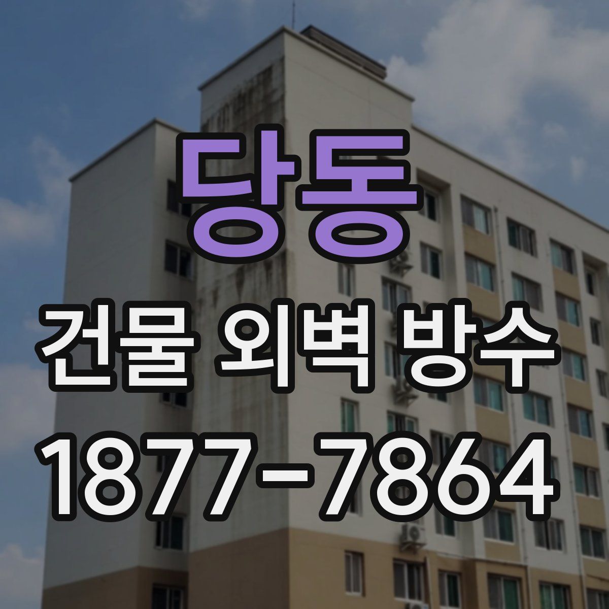 당동 건물 외벽 방수