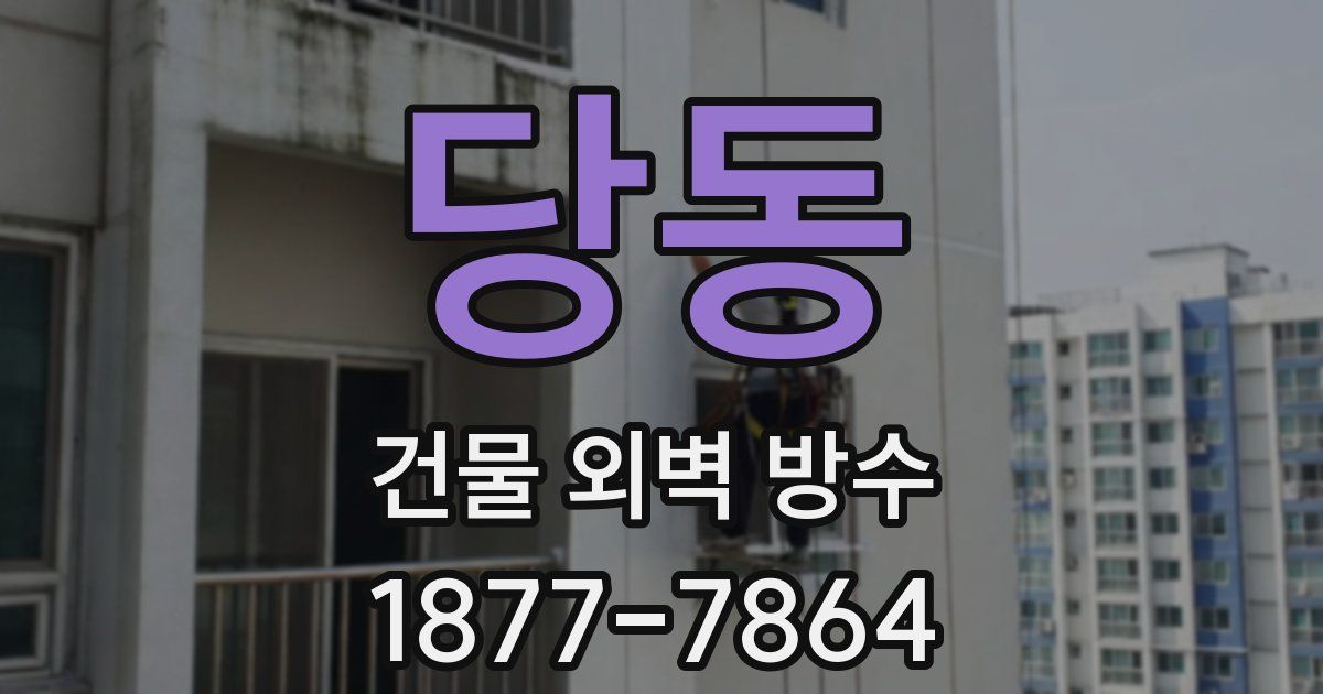당동 건물 외벽 방수