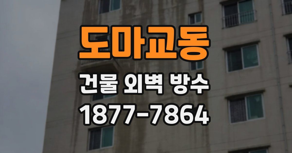 도마교동 건물 외벽 방수