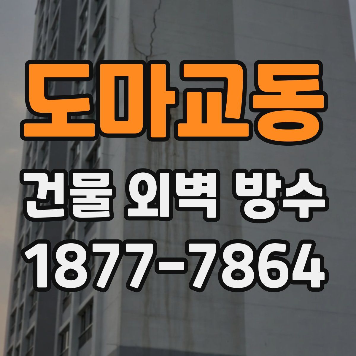 도마교동 건물 외벽 방수