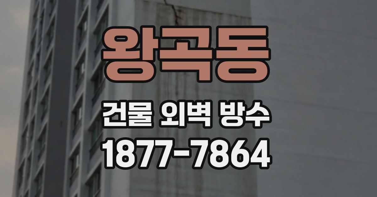 왕곡동 건물 외벽 방수