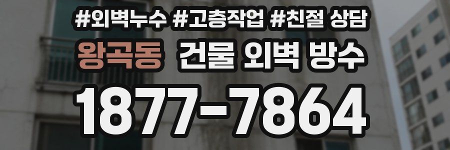 왕곡동 건물 외벽 방수