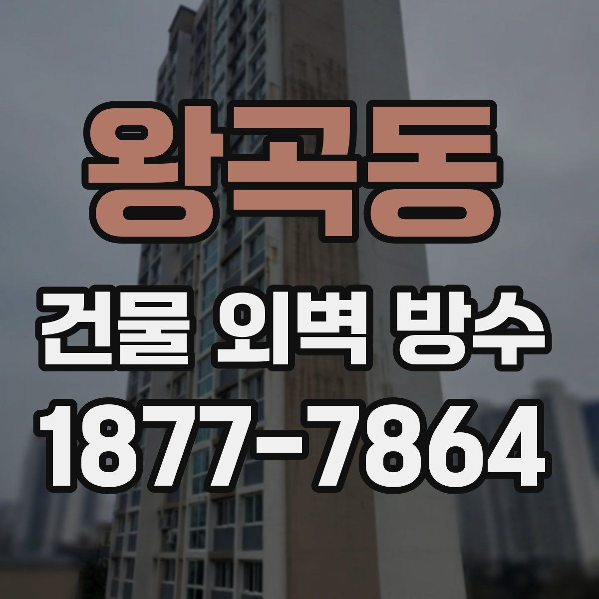 왕곡동 건물 외벽 방수