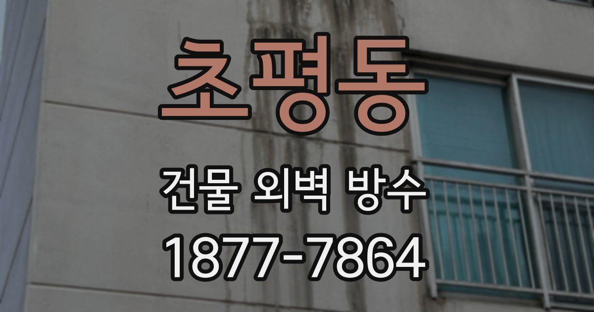 초평동 건물 외벽 방수
