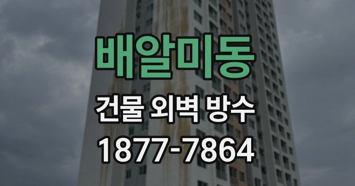 배알미동 건물 외벽 방수