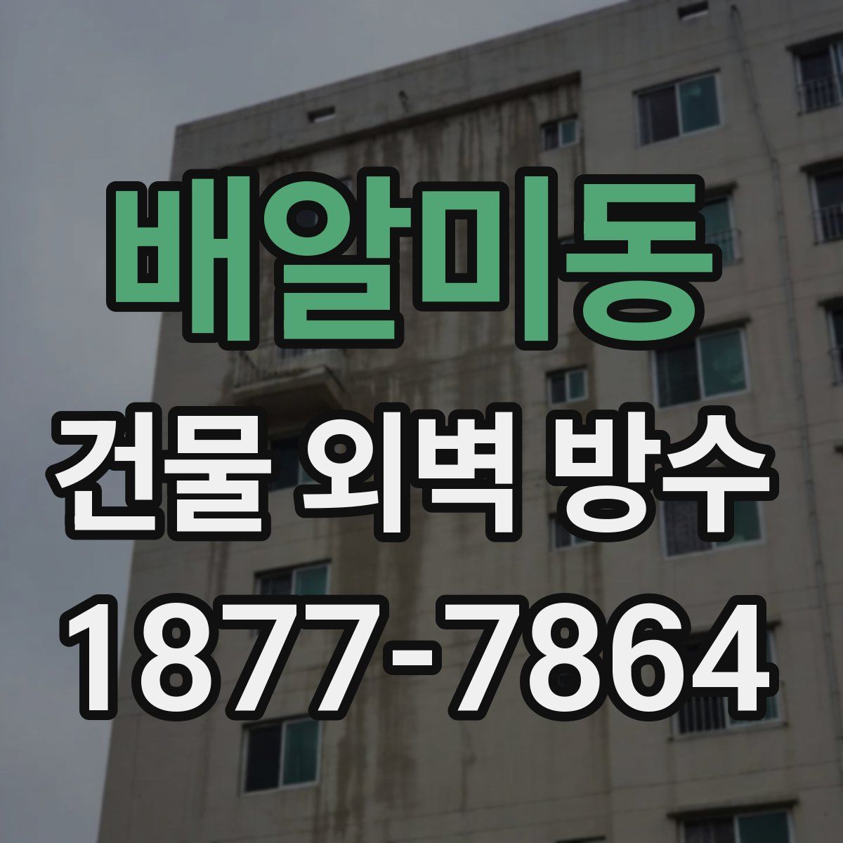 배알미동 건물 외벽 방수