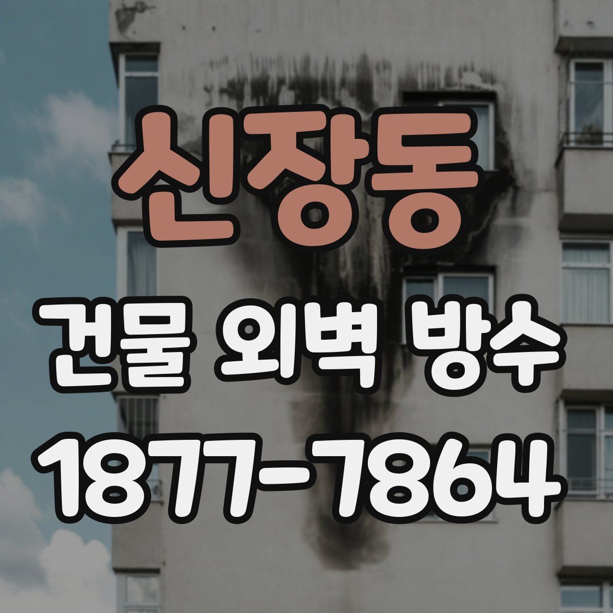 신장동 건물 외벽 방수