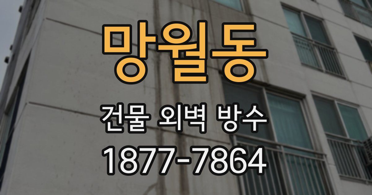 망월동 건물 외벽 방수