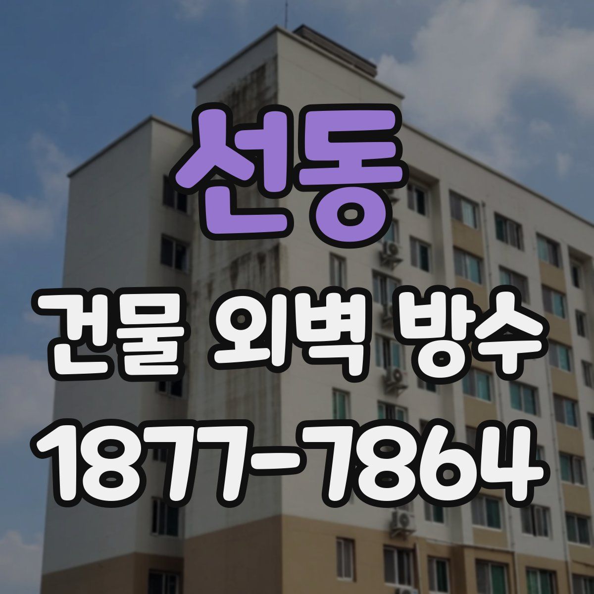 선동 건물 외벽 방수