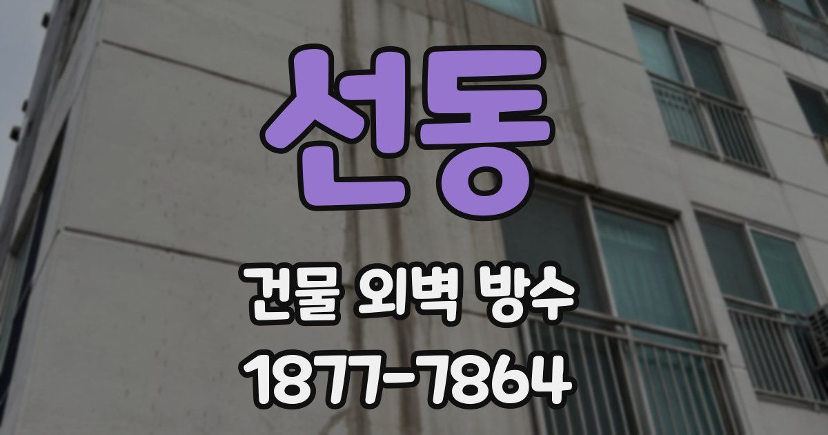 선동 건물 외벽 방수