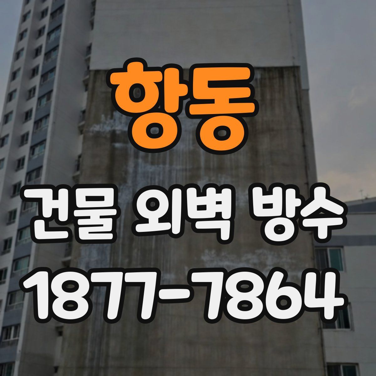 항동 건물 외벽 방수