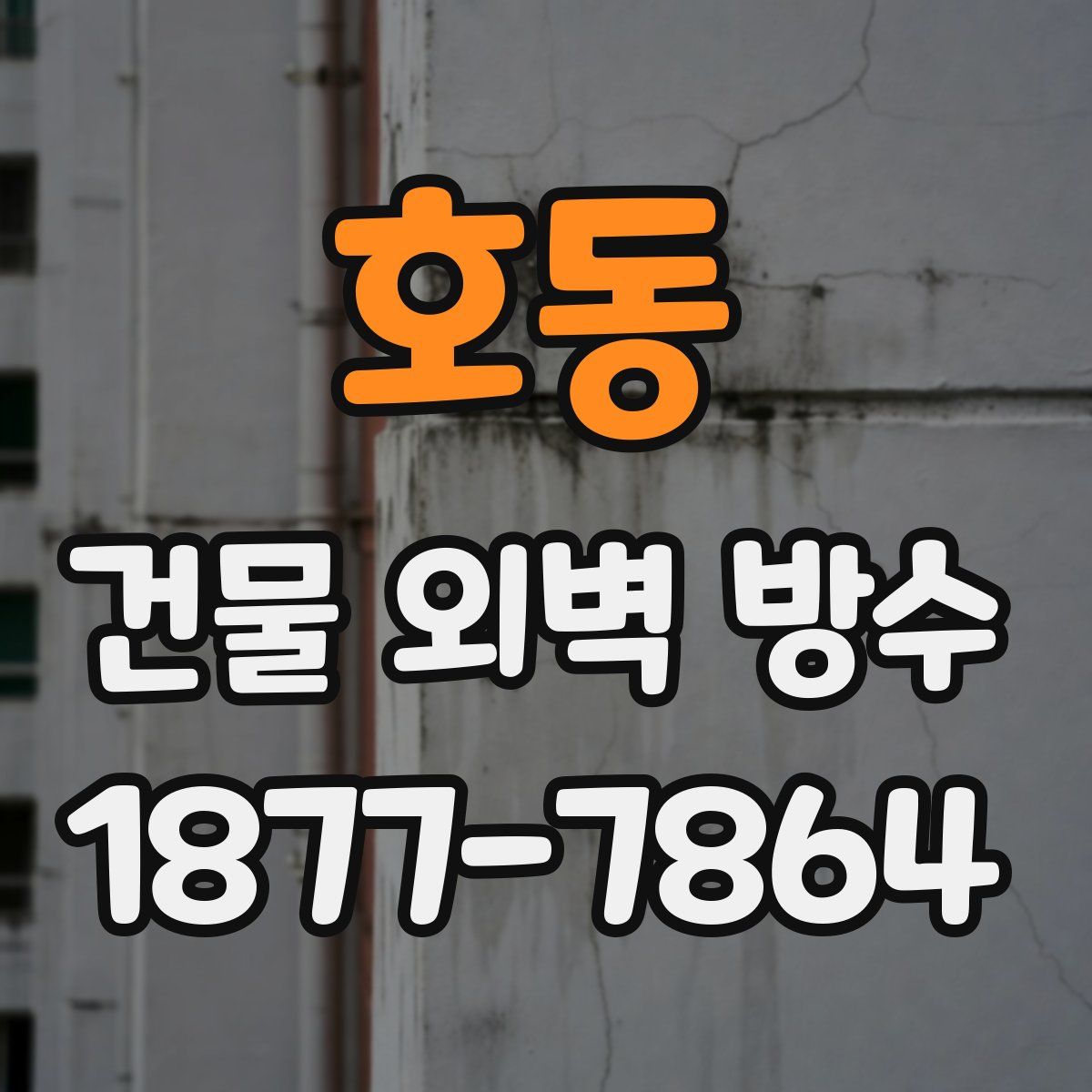 호동 건물 외벽 방수
