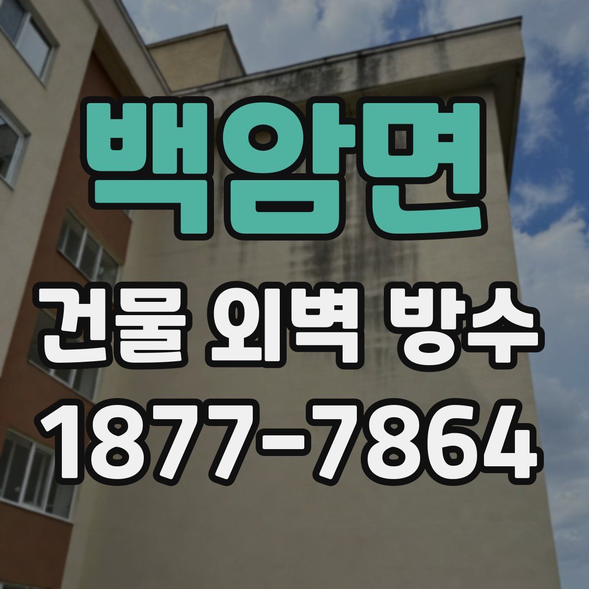 백암면 건물 외벽 방수