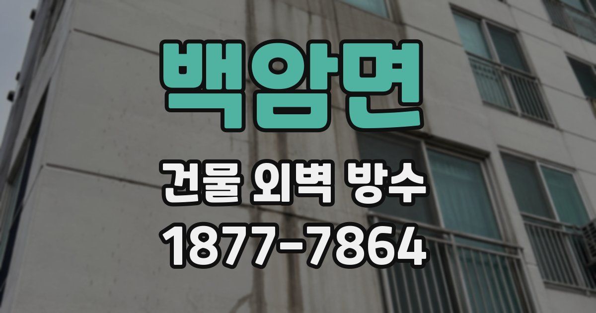 백암면 건물 외벽 방수