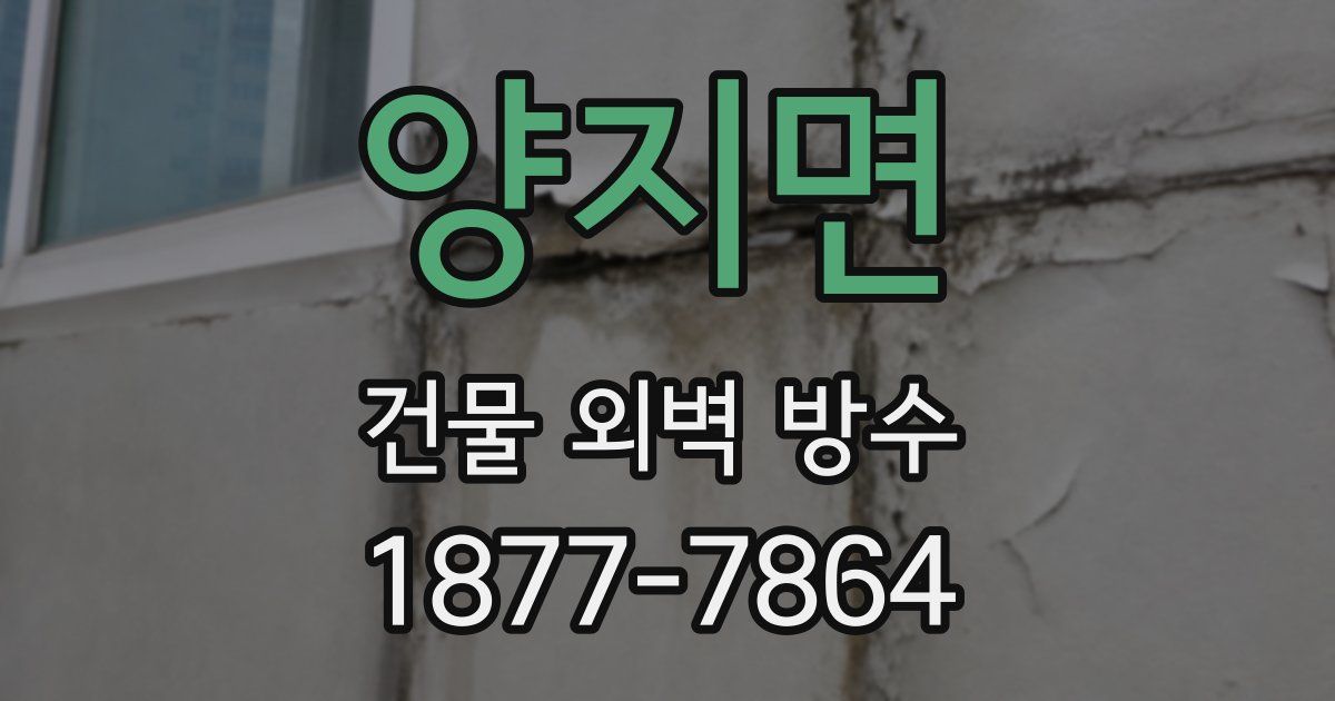 양지면 건물 외벽 방수