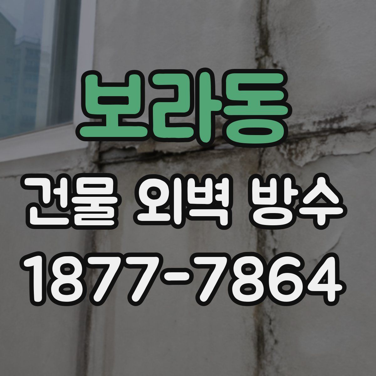 보라동 건물 외벽 방수