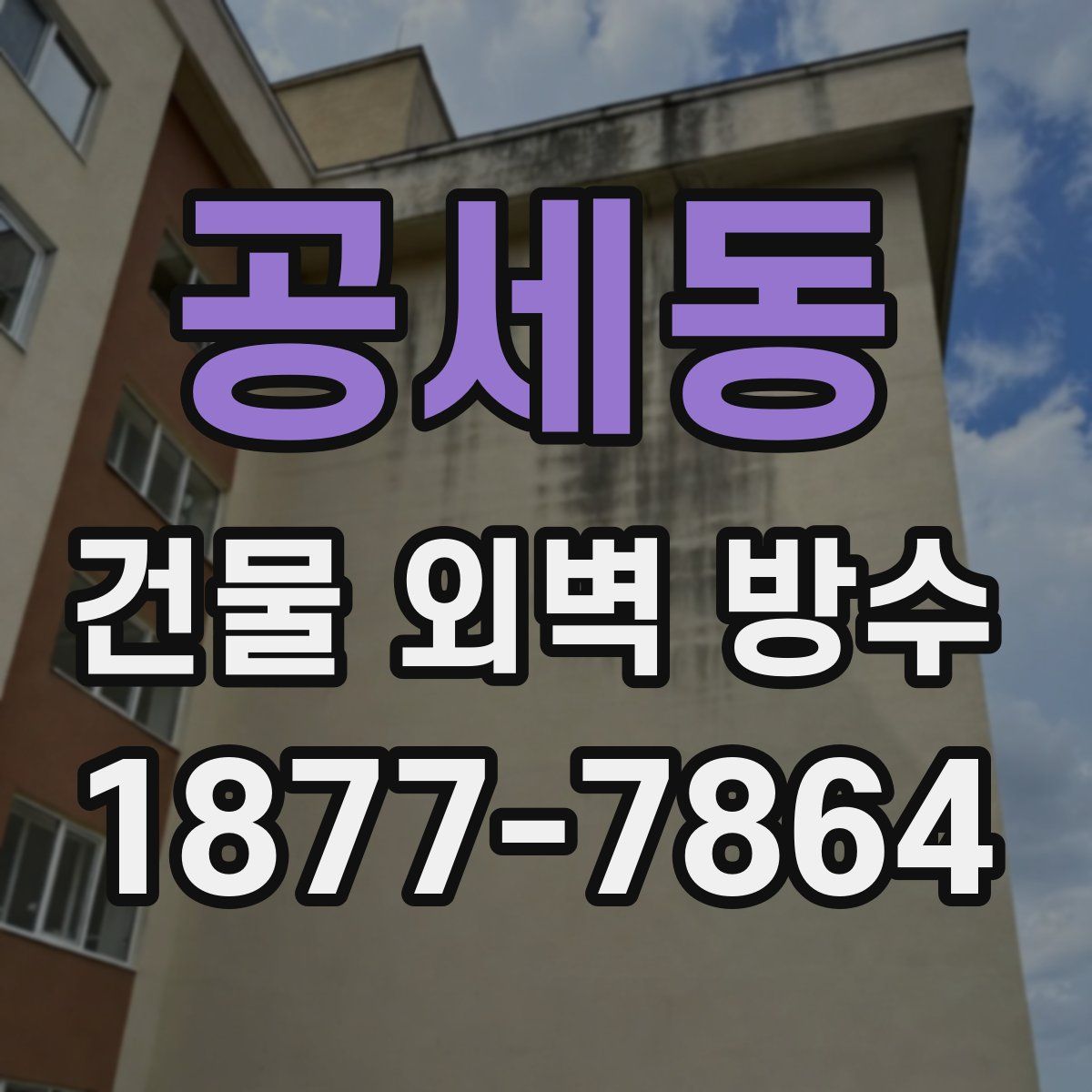 공세동 건물 외벽 방수