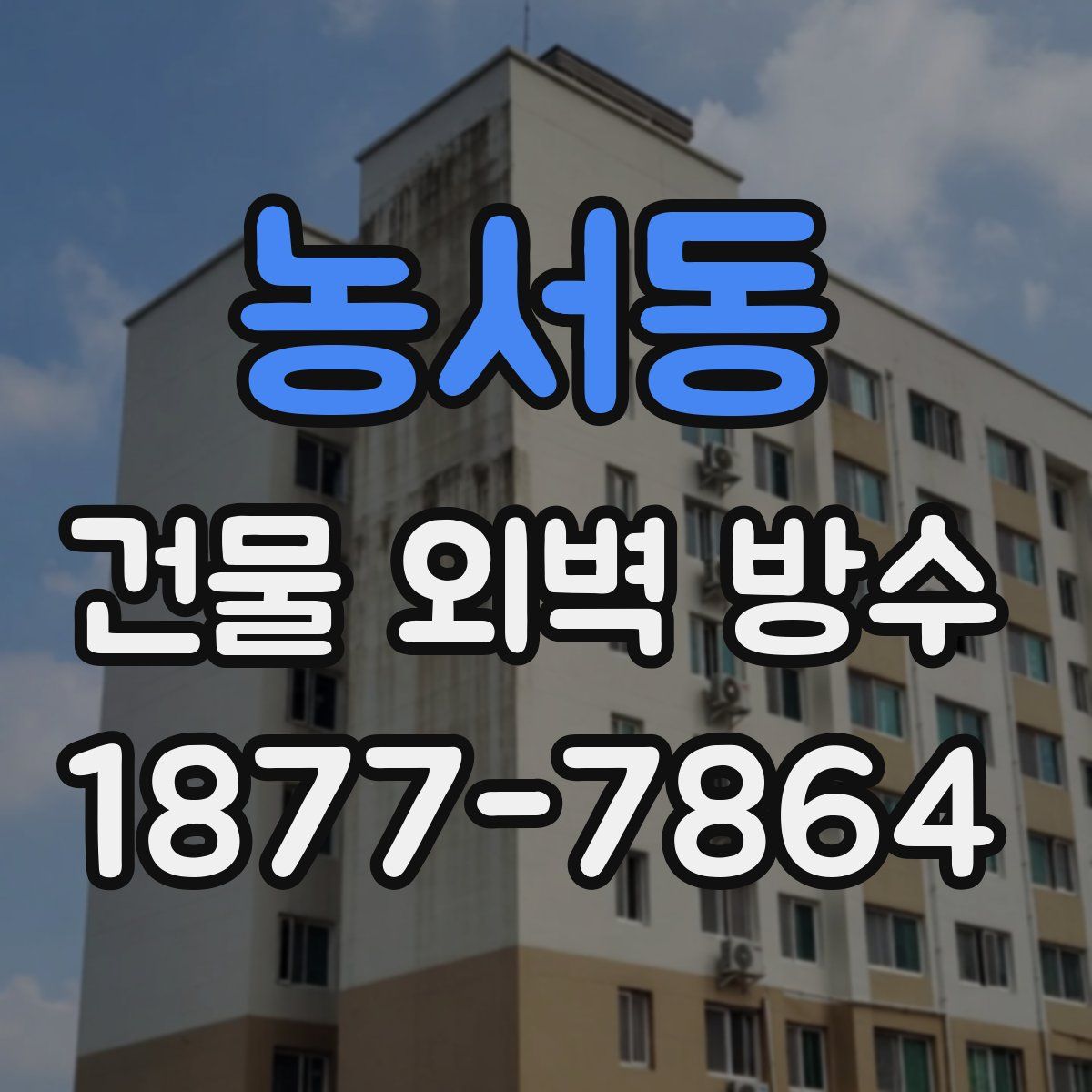 농서동 건물 외벽 방수