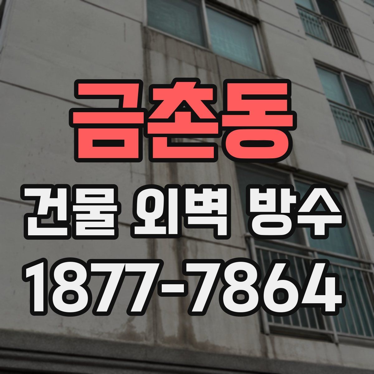 금촌동 건물 외벽 방수