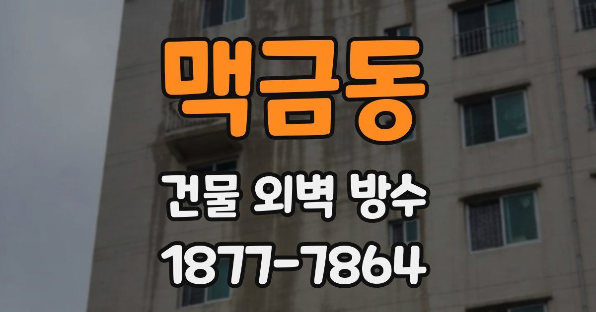 맥금동 건물 외벽 방수