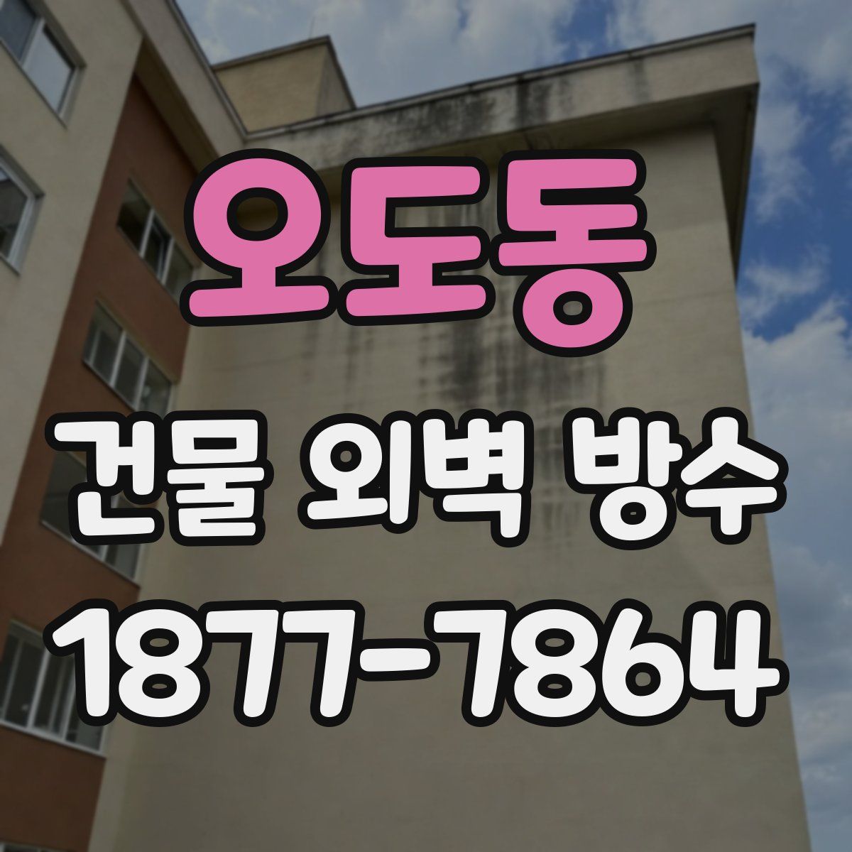 오도동 건물 외벽 방수