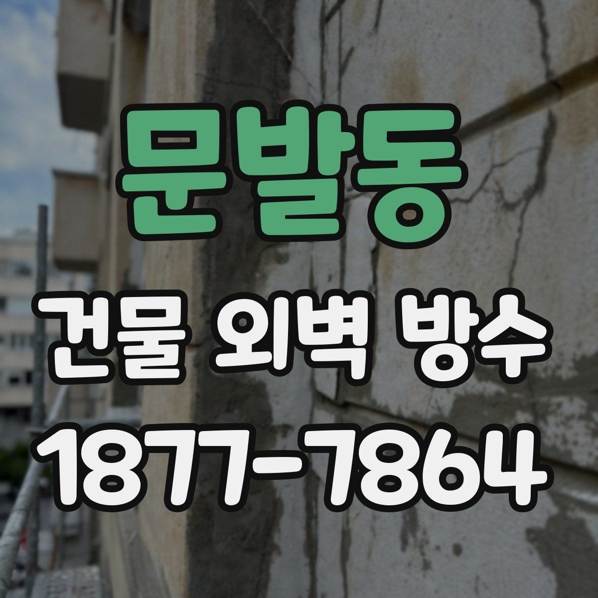 문발동 건물 외벽 방수 업체 후기 볼 때 확인할 부분