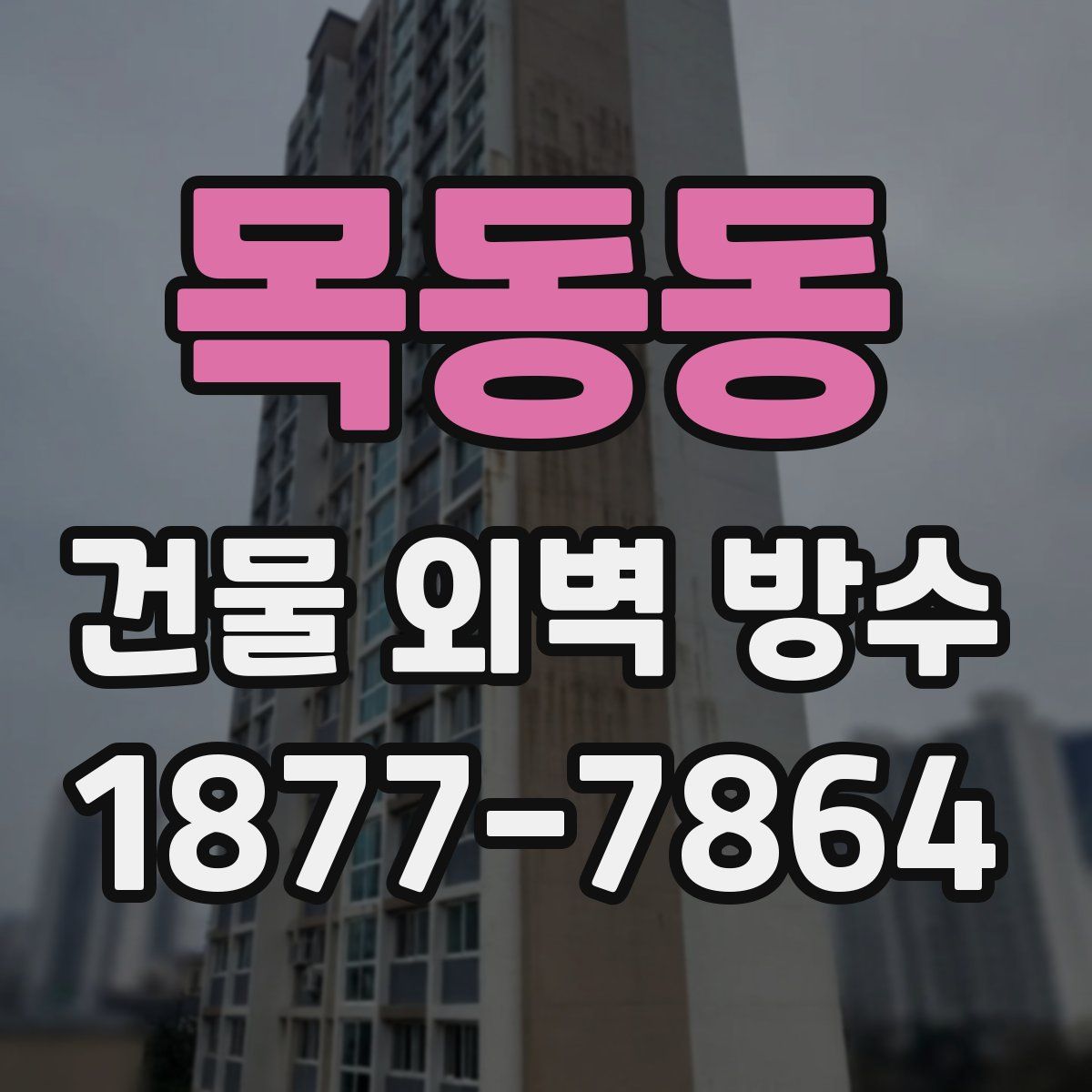 목동동 건물 외벽 방수