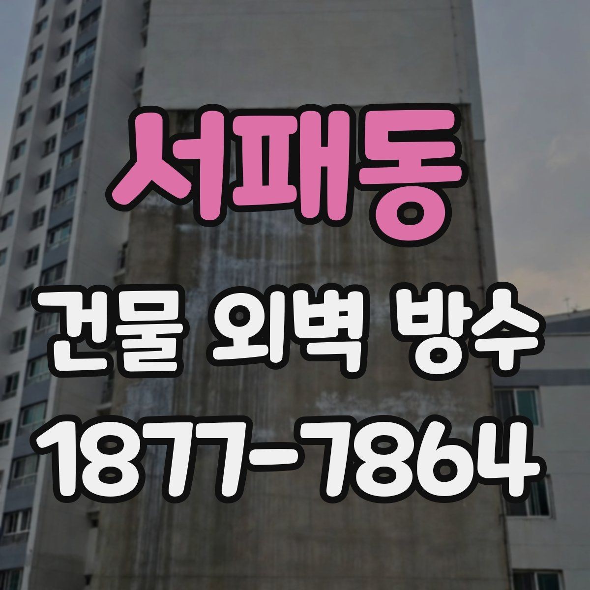 서패동 건물 외벽 방수 누수 재발을 막는 관리법
