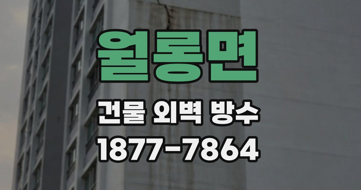 월롱면 건물 외벽 방수