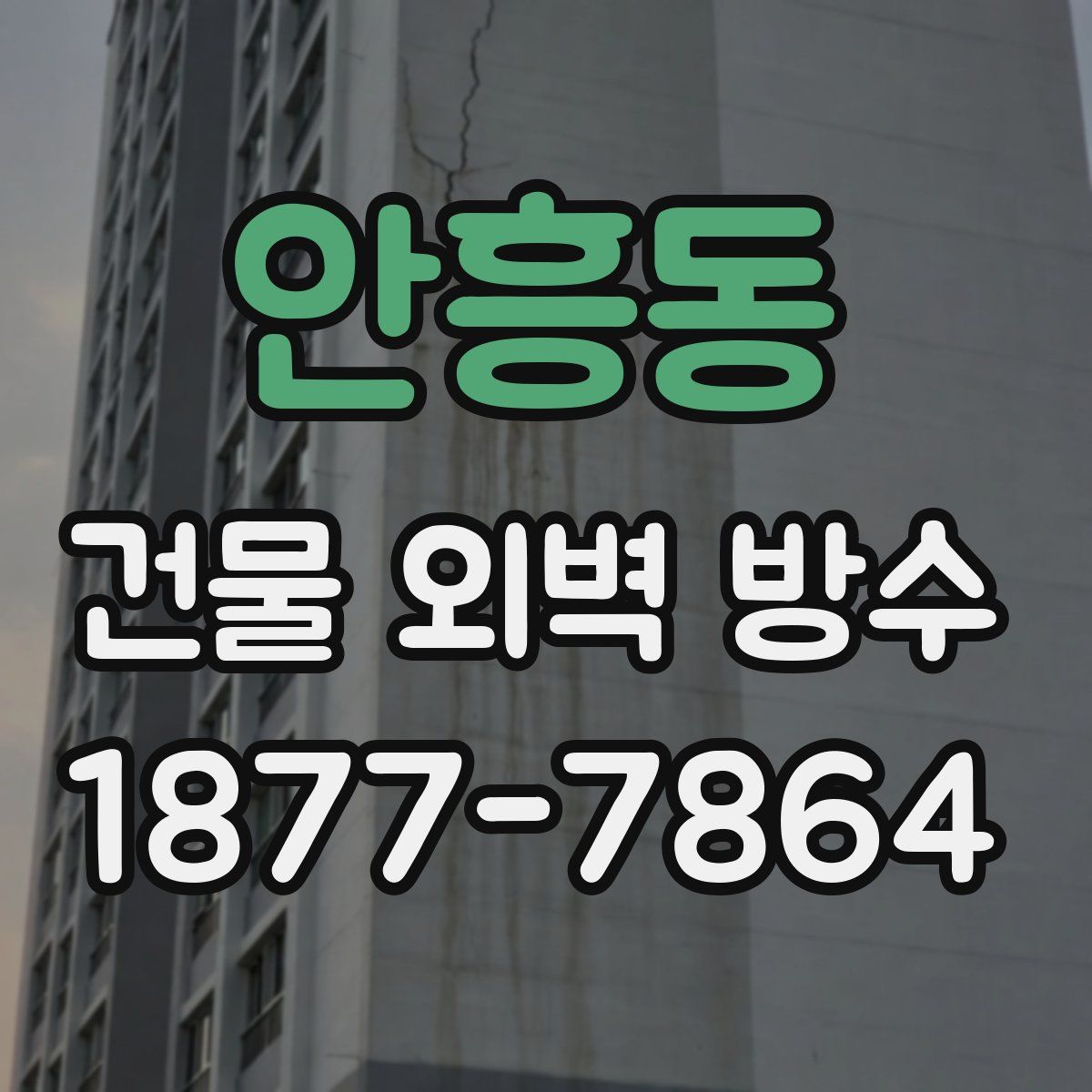 안흥동 건물 외벽 방수