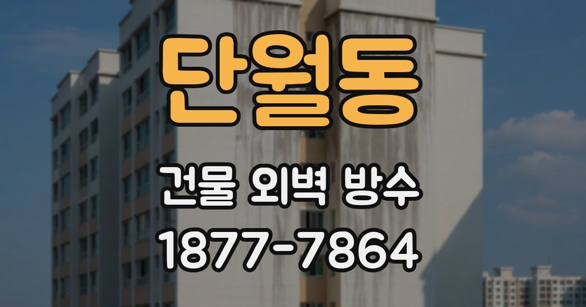 단월동 건물 외벽 방수