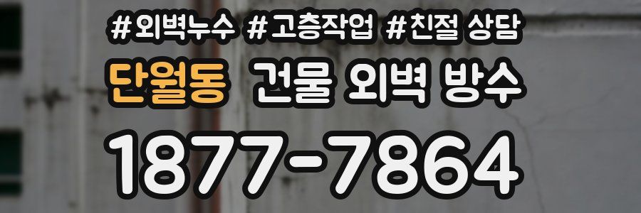 단월동 건물 외벽 방수