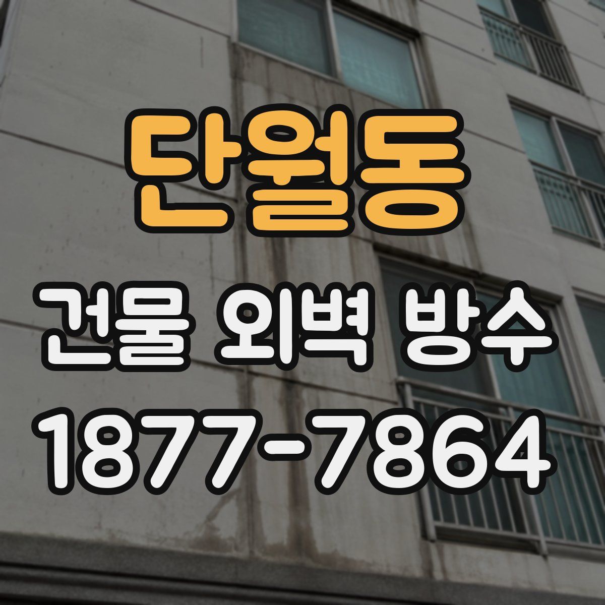 단월동 건물 외벽 방수