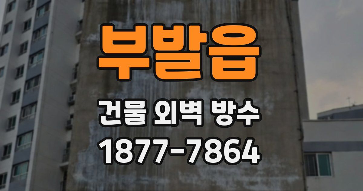 부발읍 건물 외벽 방수
