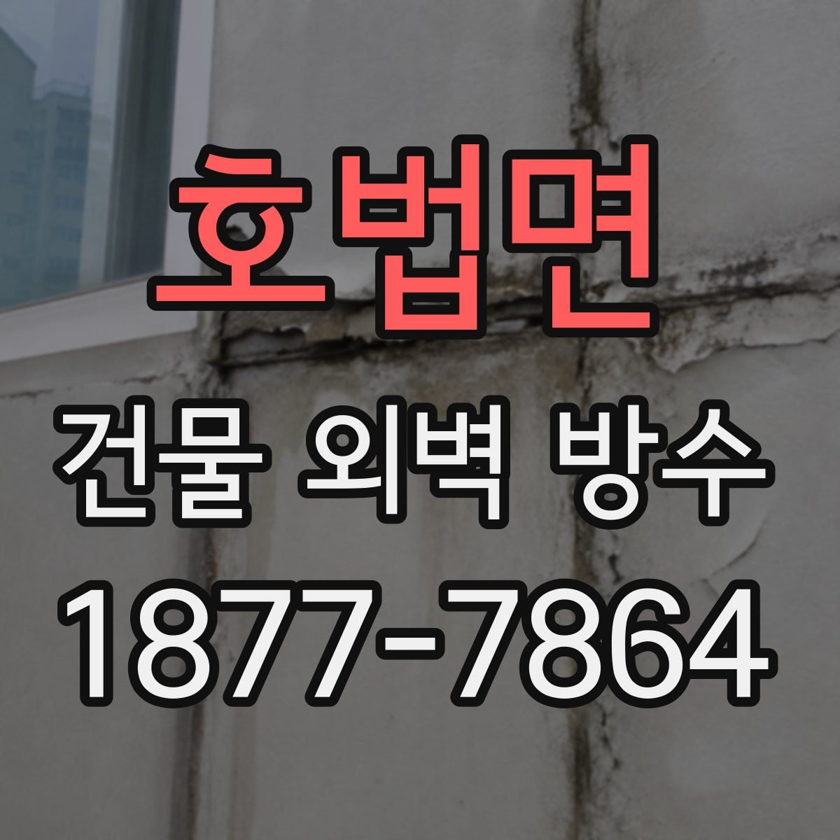 호법면 건물 외벽 방수