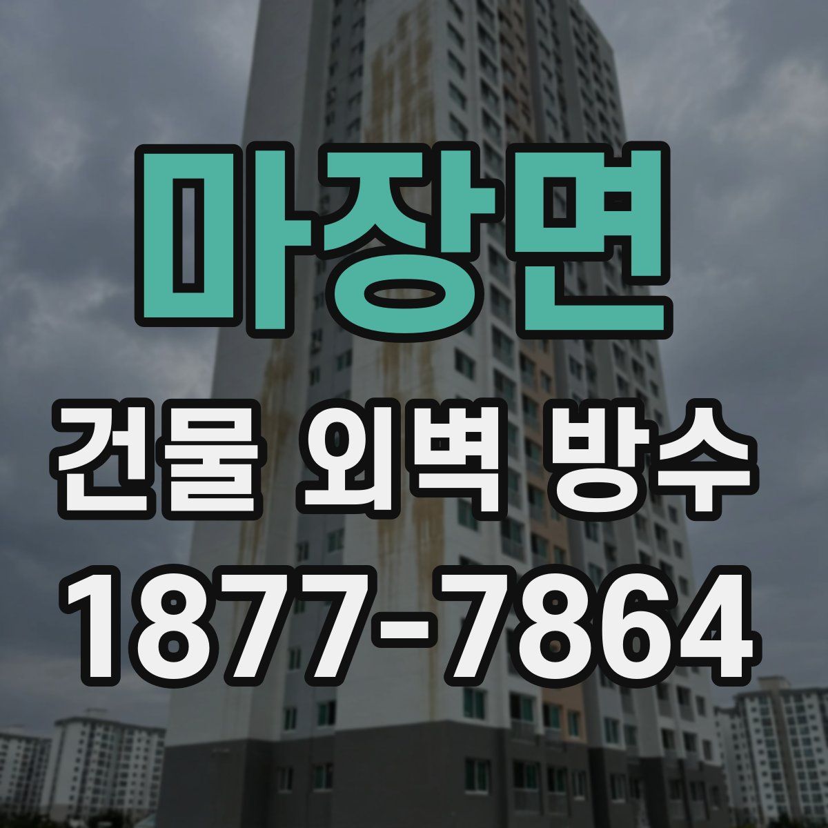 마장면 건물 외벽 방수