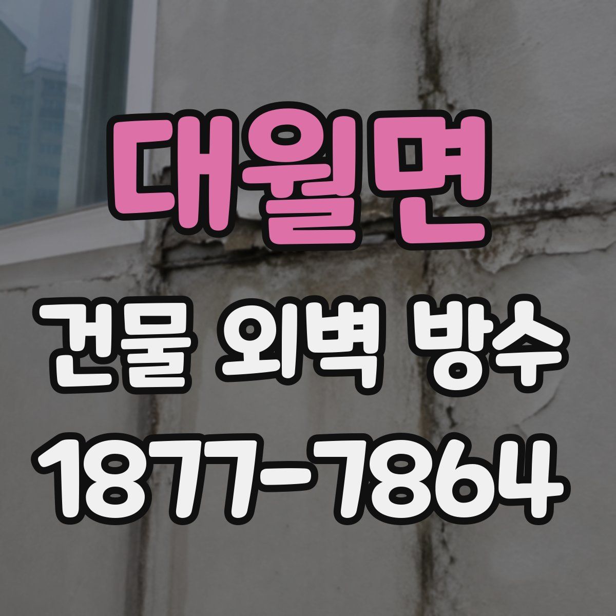 대월면 건물 외벽 방수