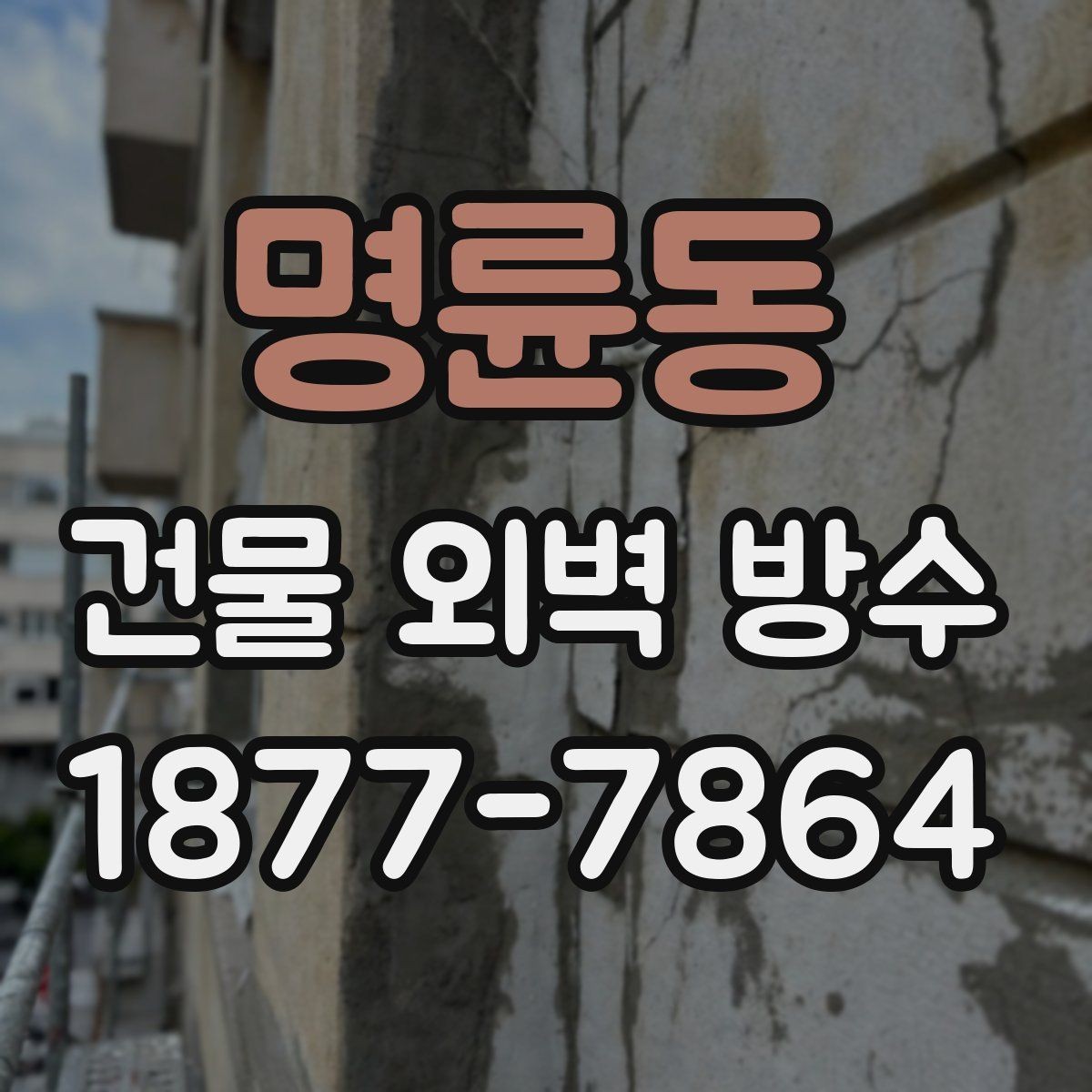 명륜동 건물 외벽 방수 공사 후 재발 방지를 위한 관리