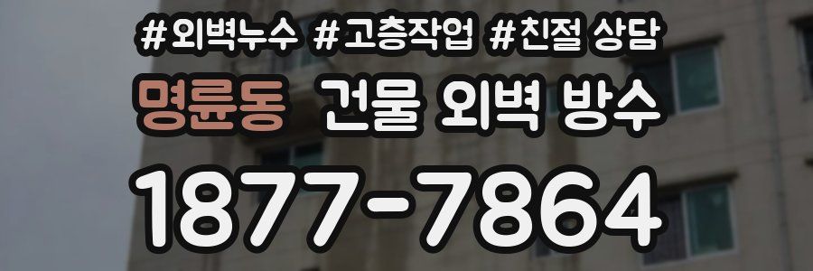 명륜동 건물 외벽 방수
