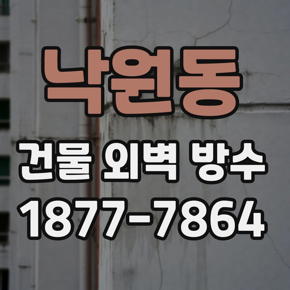 낙원동 건물 외벽 방수
