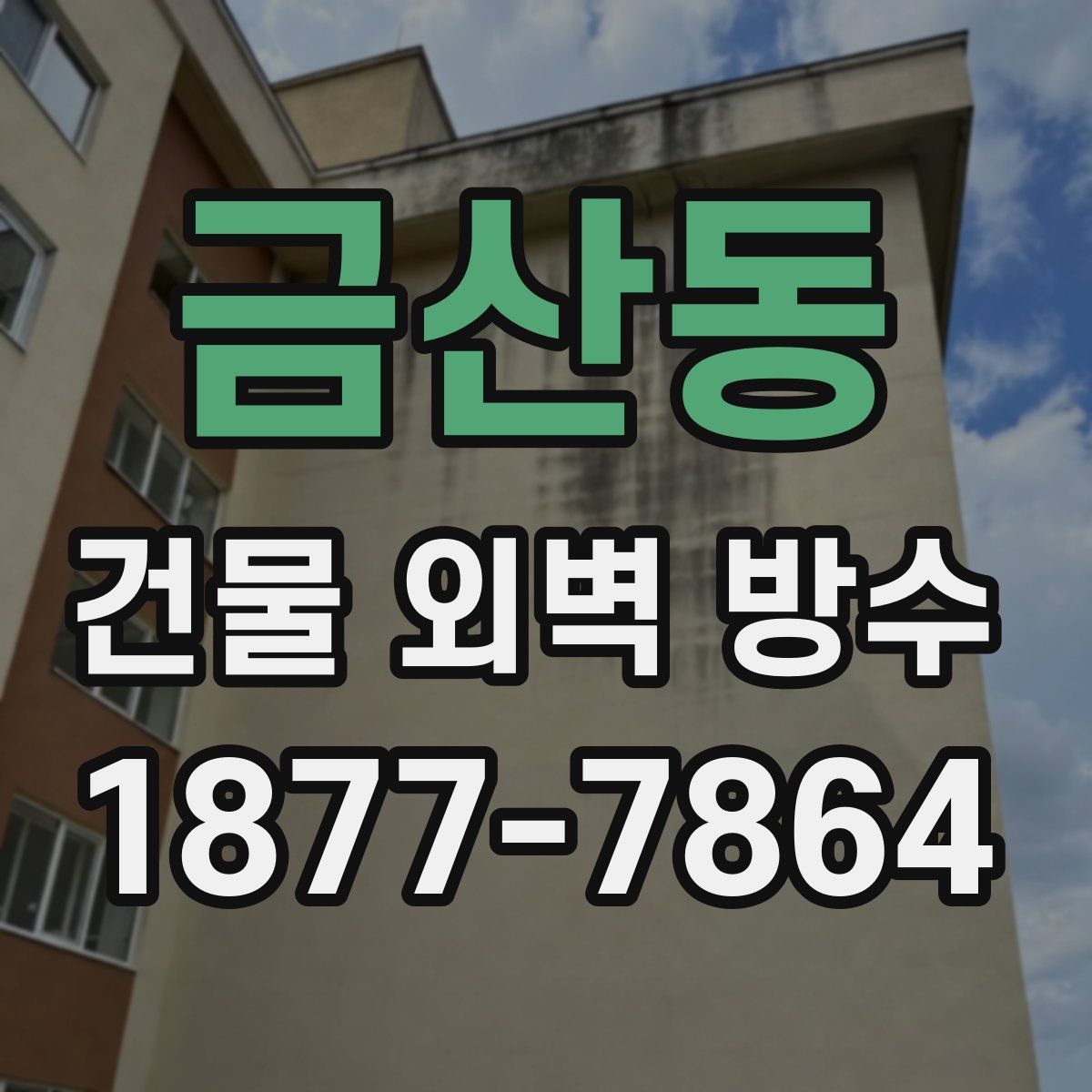 금산동 건물 외벽 방수