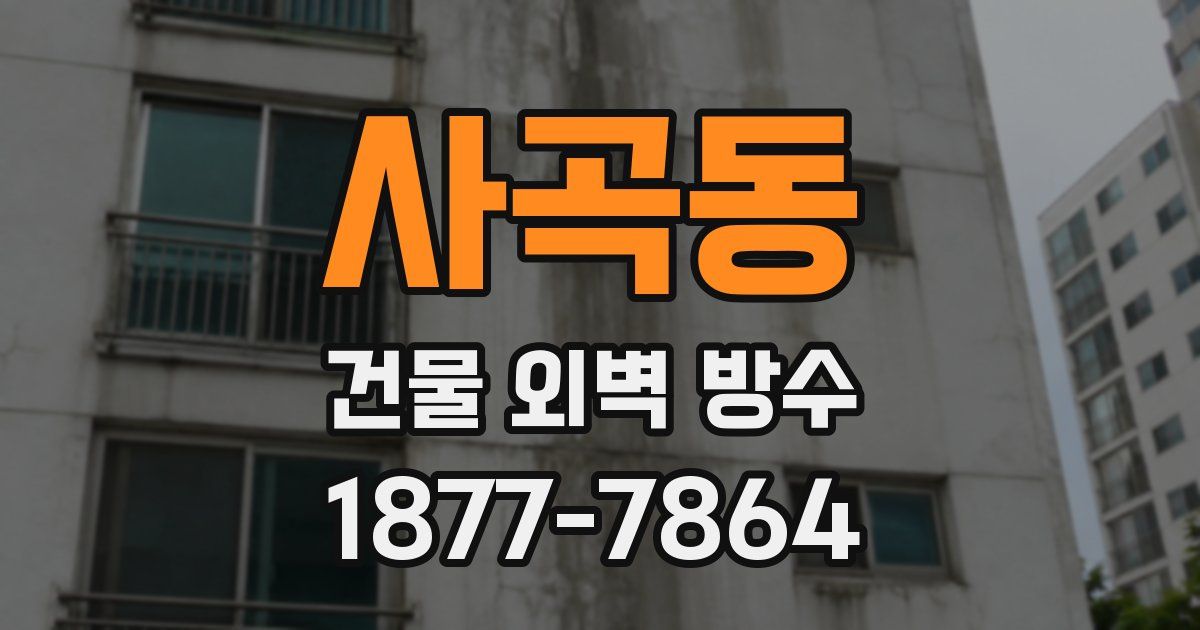 사곡동 건물 외벽 방수