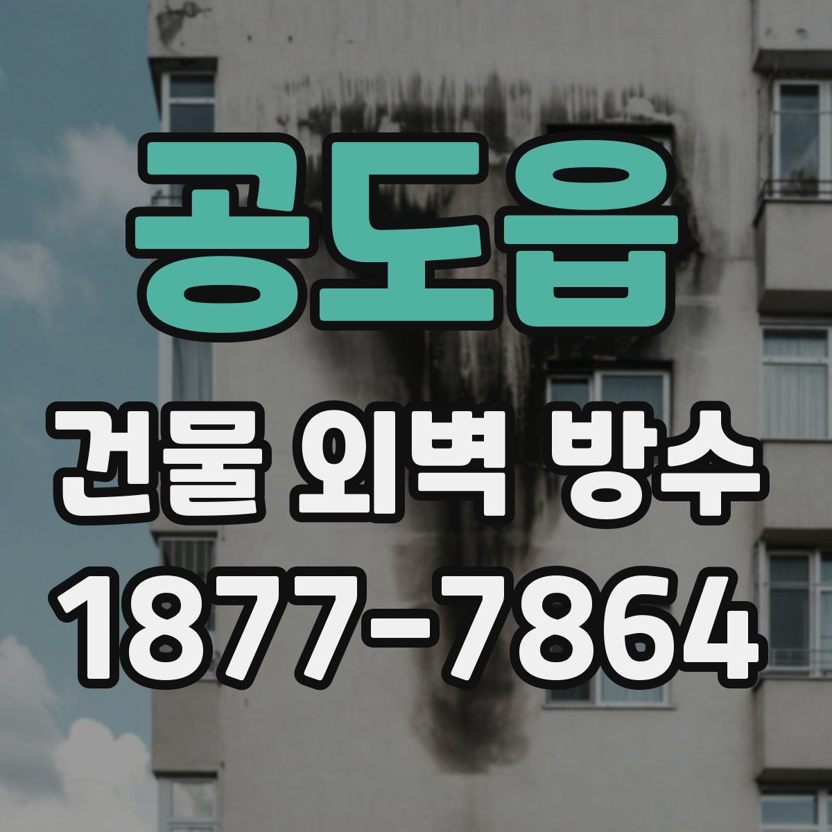공도읍 건물 외벽 방수