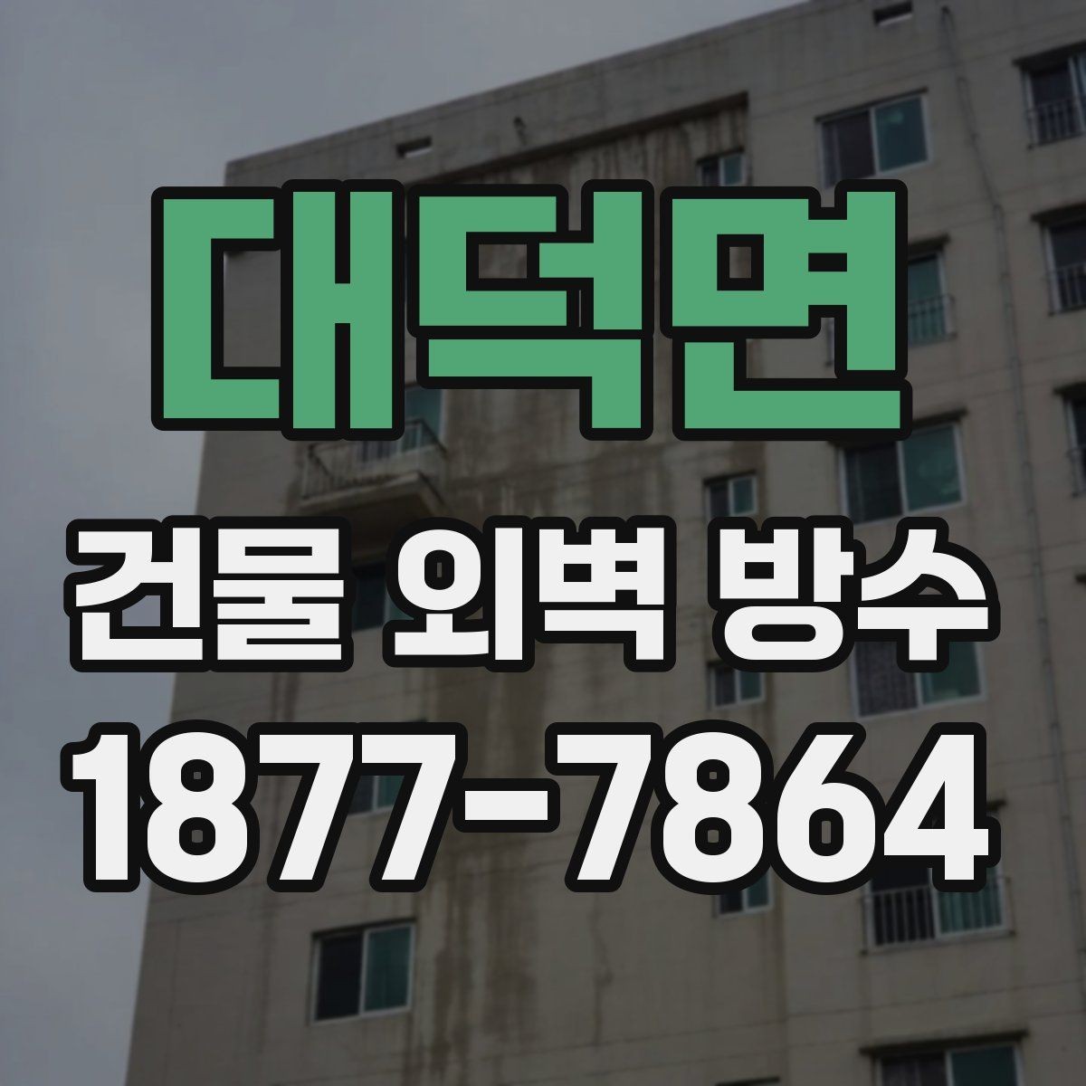 대덕면 건물 외벽 방수 업체 후기 볼 때 확인할 부분