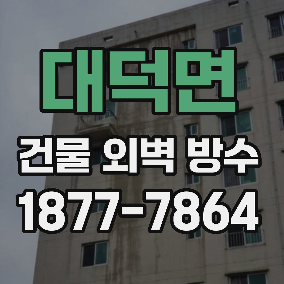 대덕면 건물 외벽 방수