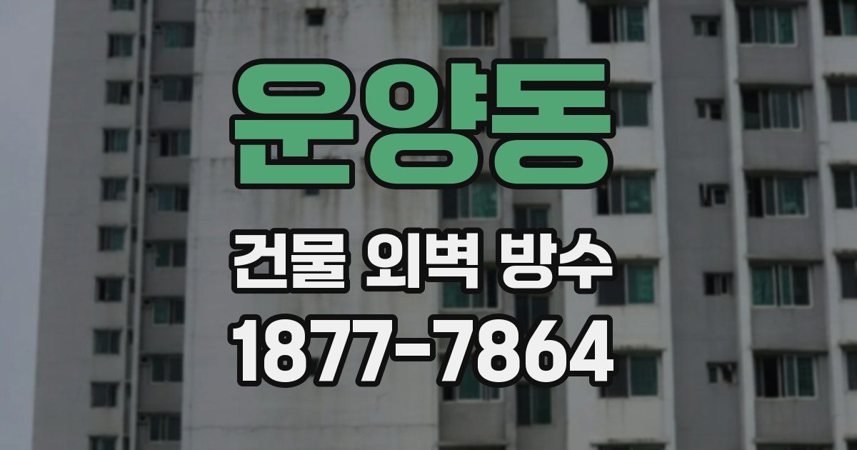운양동 건물 외벽 방수