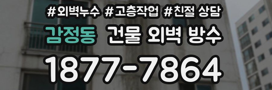 감정동 건물 외벽 방수