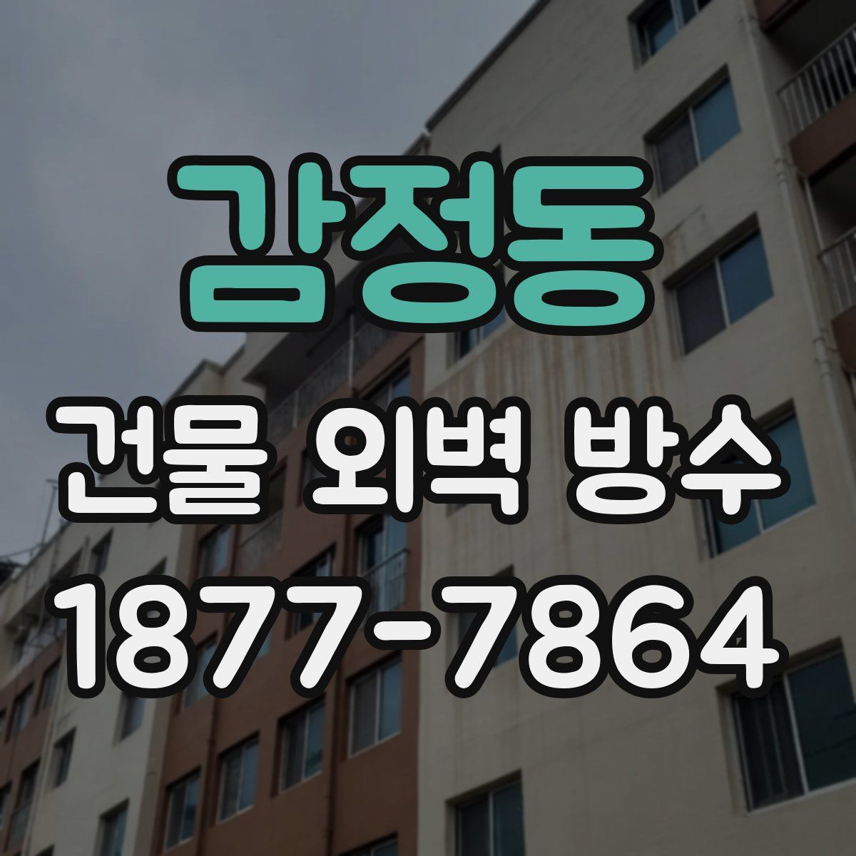 감정동 건물 외벽 방수