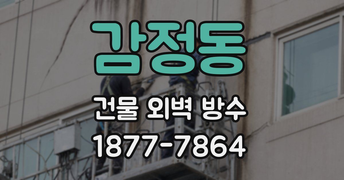 감정동 건물 외벽 방수
