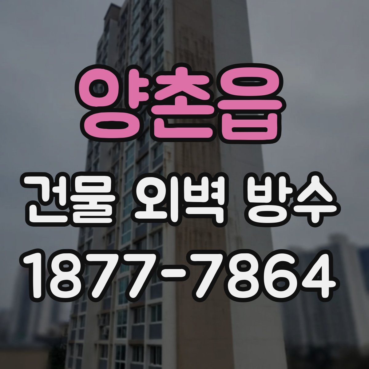 양촌읍 건물 외벽 방수